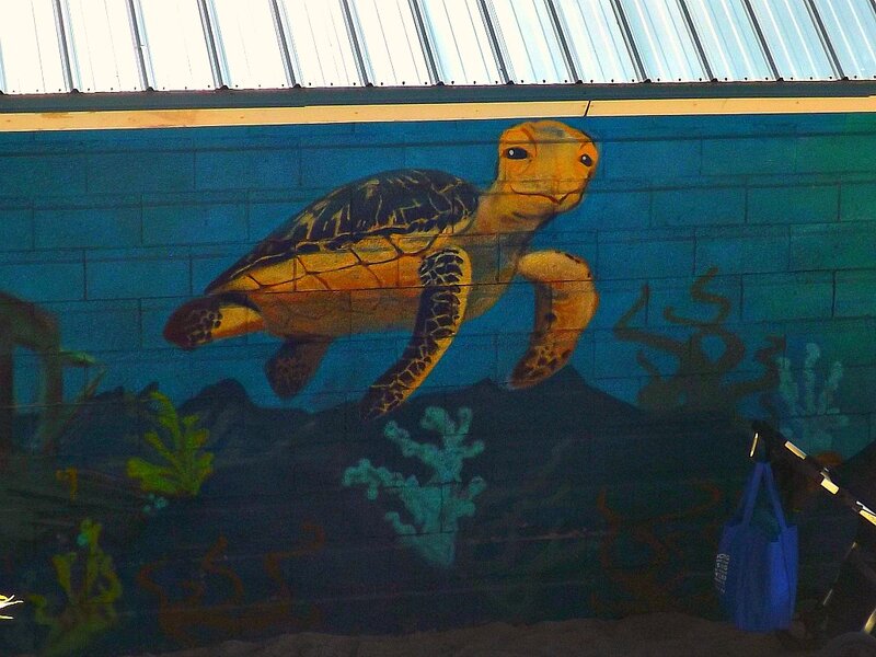Sea Turtle Mural