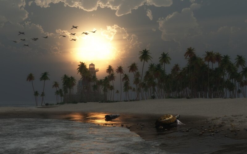 Sea Turtle on Beach