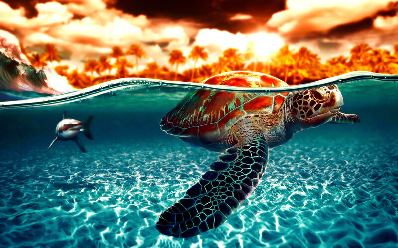 Sea Turtle Swimming — Blue, Dramatic, Sunset, Digital Art