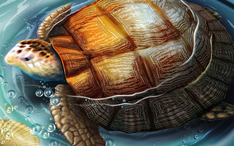 Sea Turtle Swimming — Blue, Serene, Digital Art, Bubbles, Shells