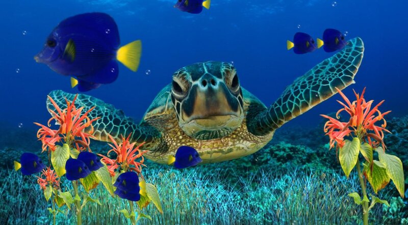 Sea Turtle Swimming — Blue, Serene, Digital Art