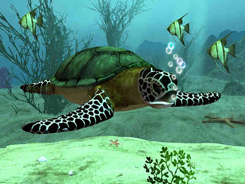 Sea Turtle Swimming — Green, Serene, Digital Art