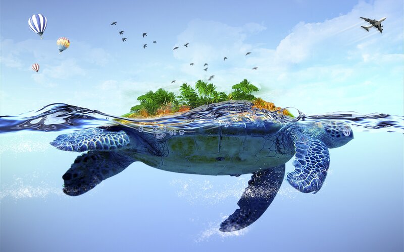 Sea Turtle with Island — Blue, Serene