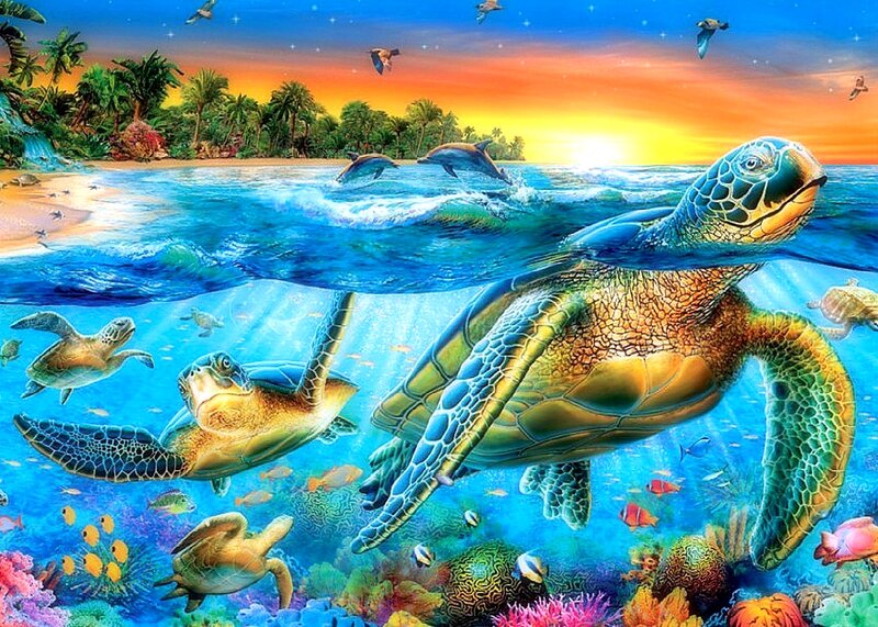 Sea Turtles in Coral Reef — Blue, Serene