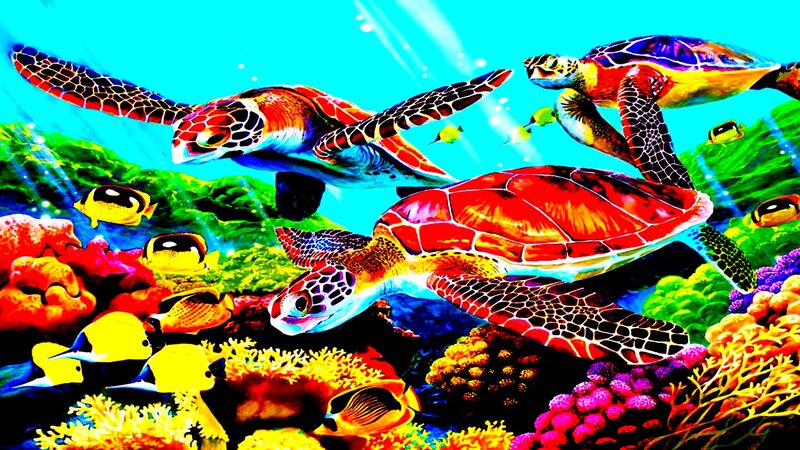 Sea Turtles in Coral Reef — Blue