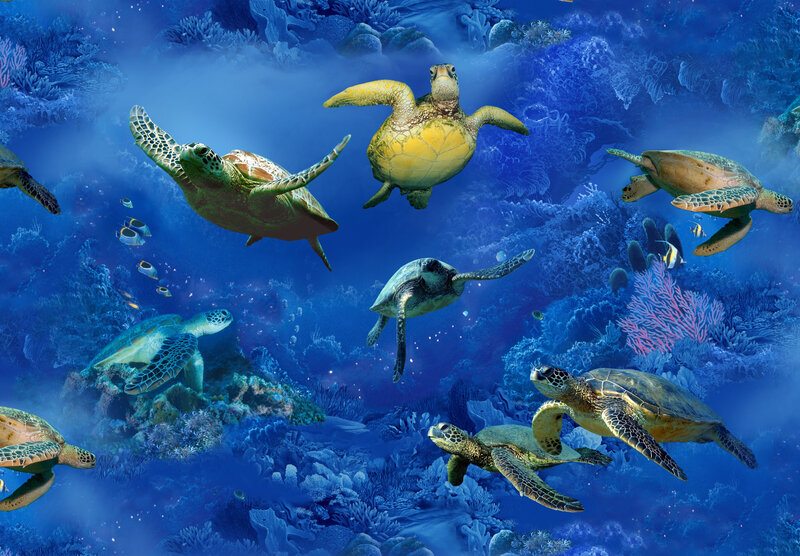 Sea turtles swimming in coral reef