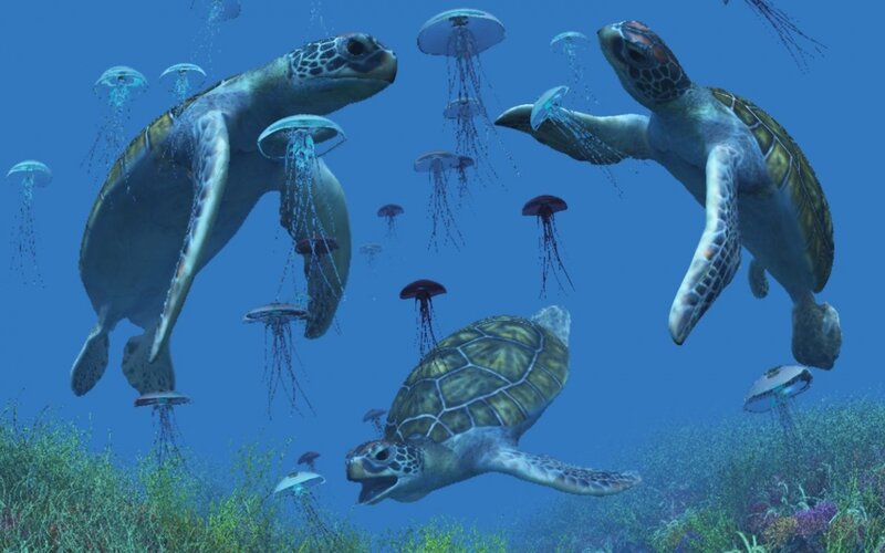 Sea turtles swimming with jellyfish
