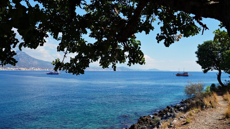 Sea View from Tree