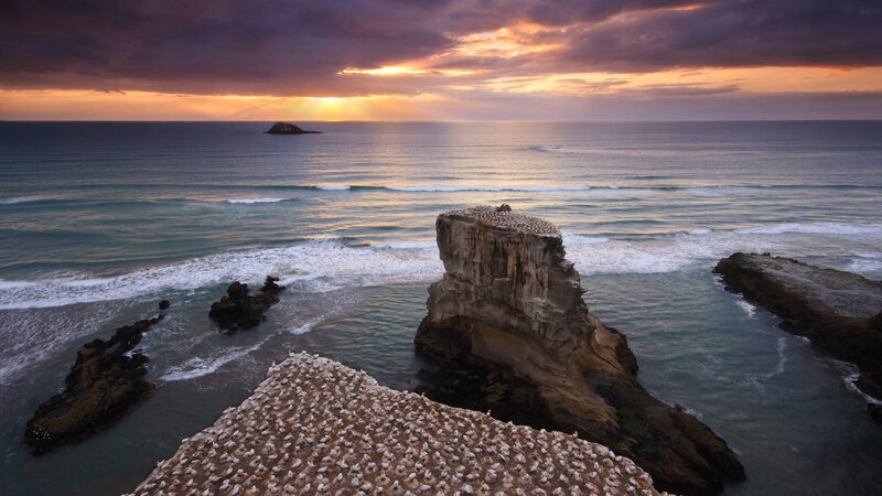 Seabirds on Rock Formations