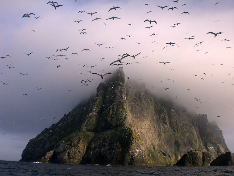 Seabirds over Rock Formation