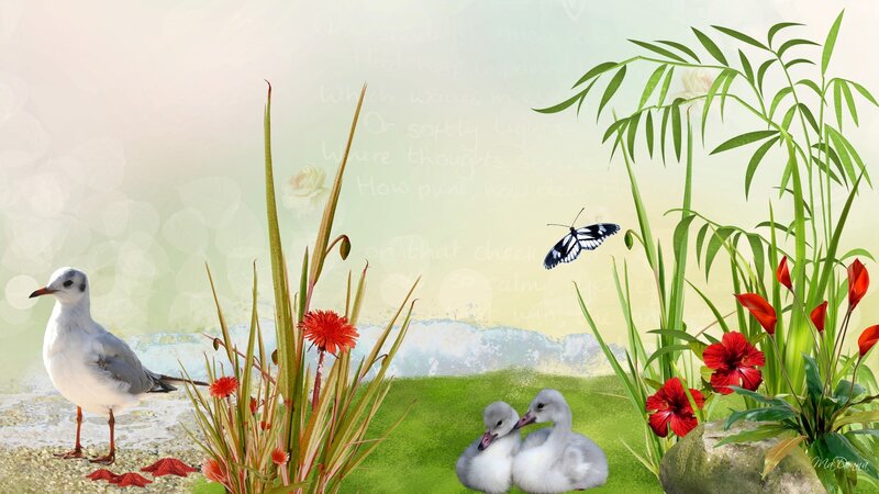 Seagull and Goslings