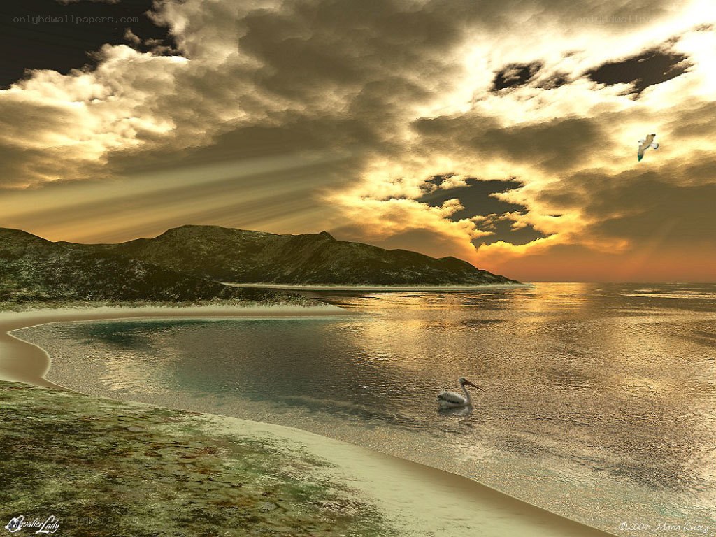 Seagull at sunset over the sea