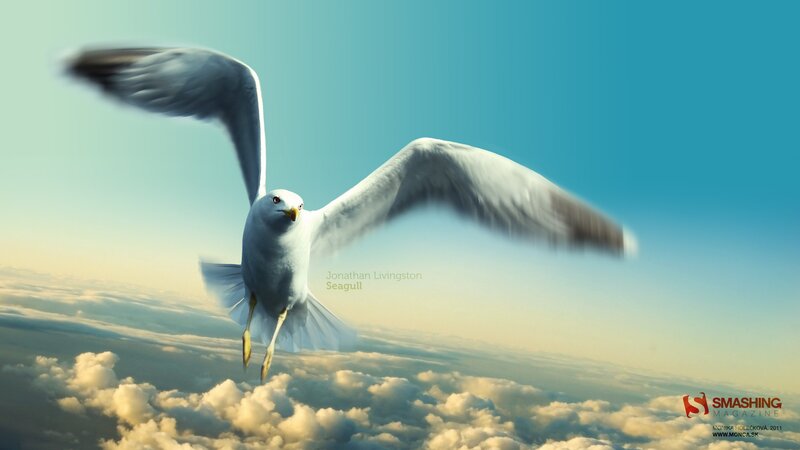 Seagull flying above clouds