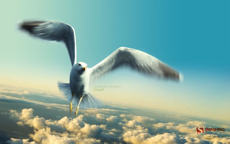 Seagull Flying Above Clouds — Blue, Serene