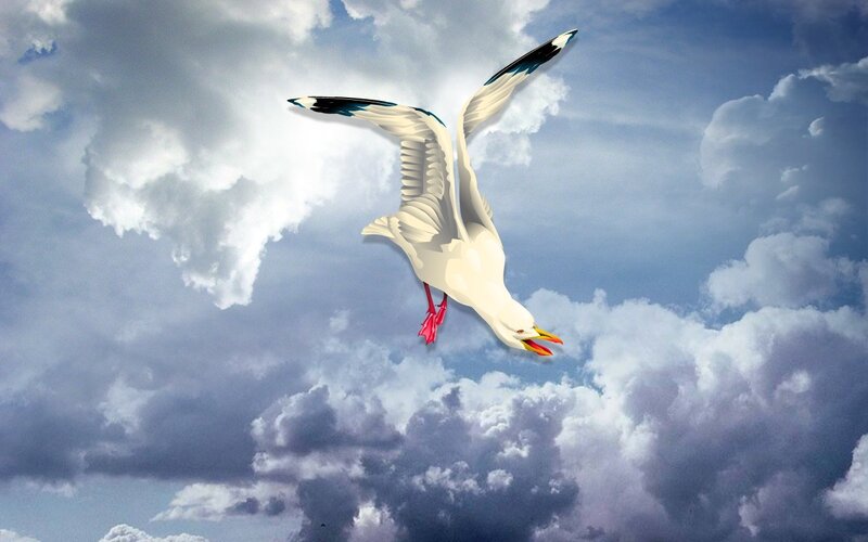 seagull flying in cloudy sky