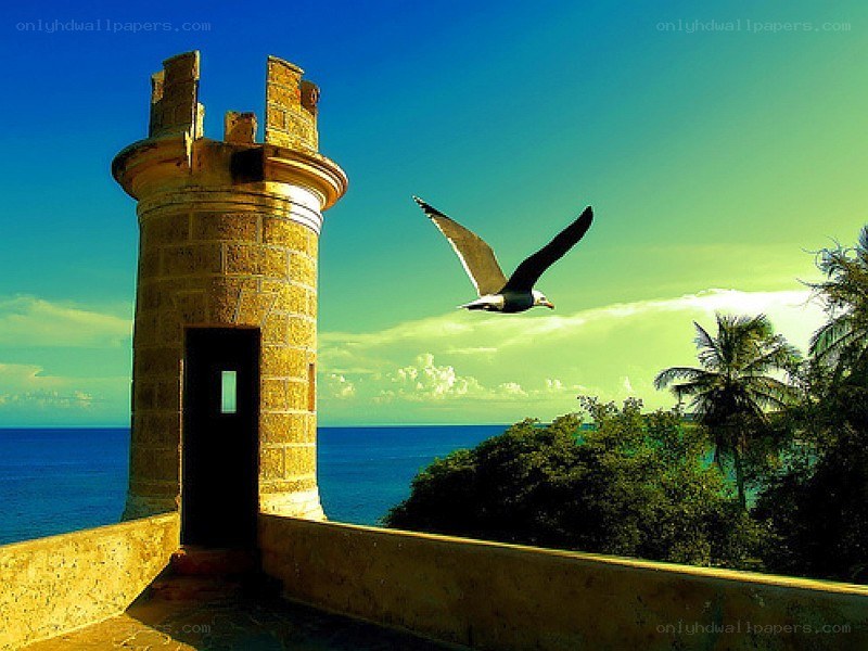 Seagull flying near a tower