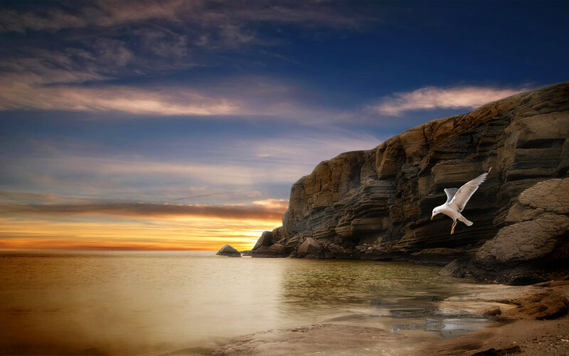 Seagull Flying Near Cliff