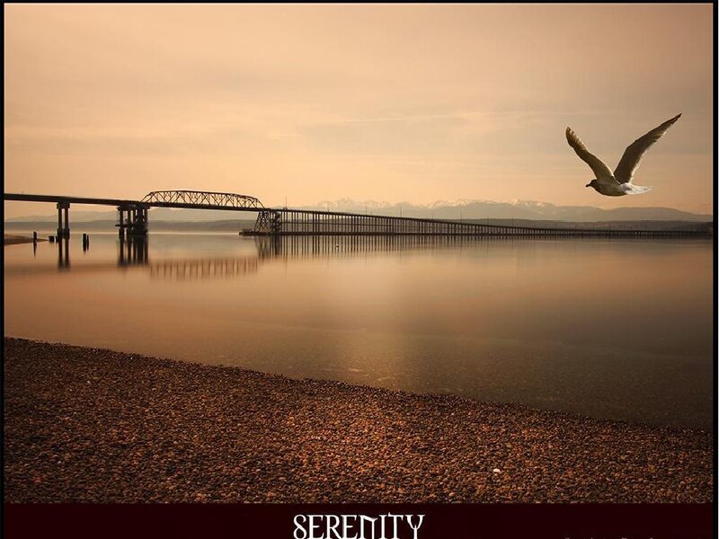 Seagull flying over a bridge