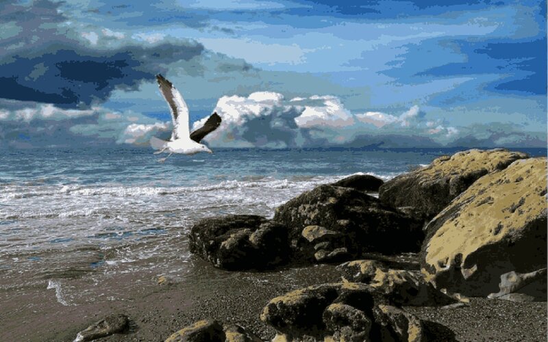 Seagull Flying over Beach — Blue, Dramatic, Digital Art