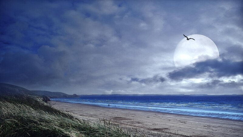 Seagull Flying over Beach — Blue, Dramatic