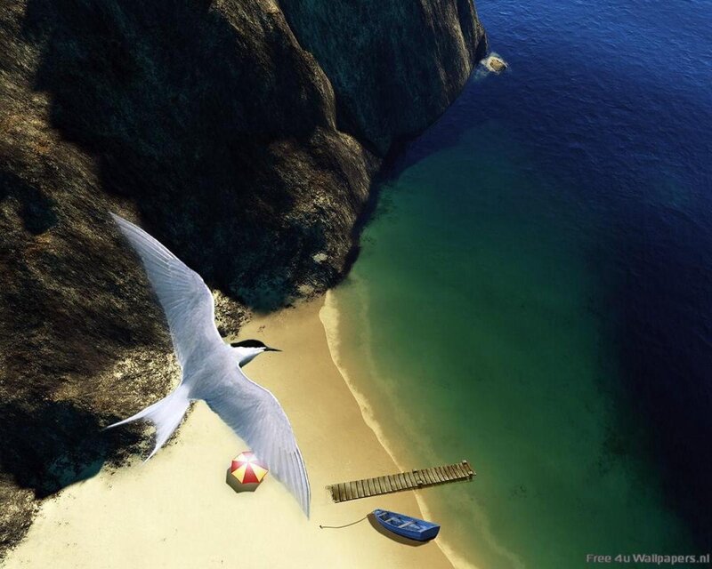 Seagull Flying over Beach — Blue, Serene, Afternoon, Digital Art