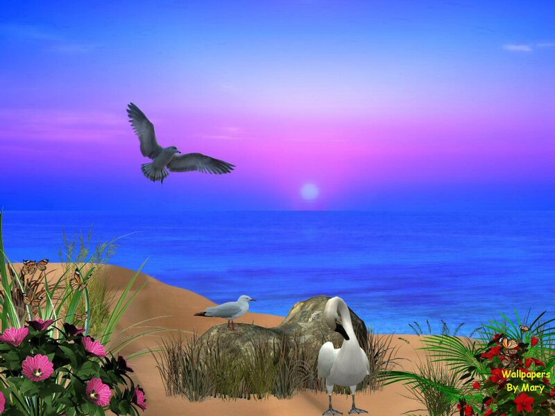 Seagull Flying over Beach — Blue, Serene, Sunset