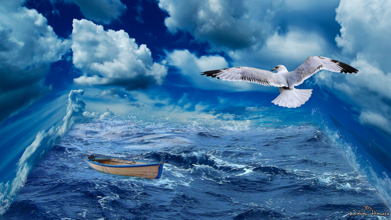 Seagull Flying over Boat — Blue