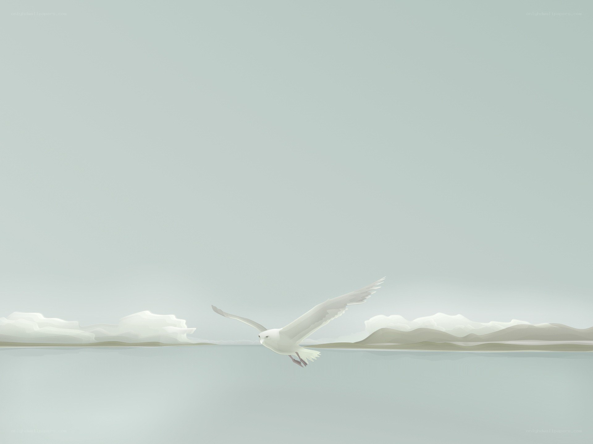 Seagull flying over calm water