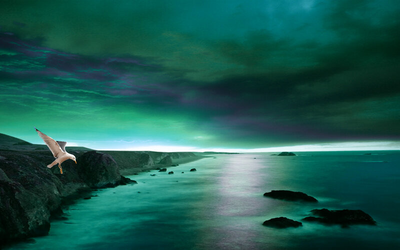 Seagull Flying over Coast — Green