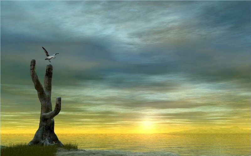 Seagull Flying over Dead Tree