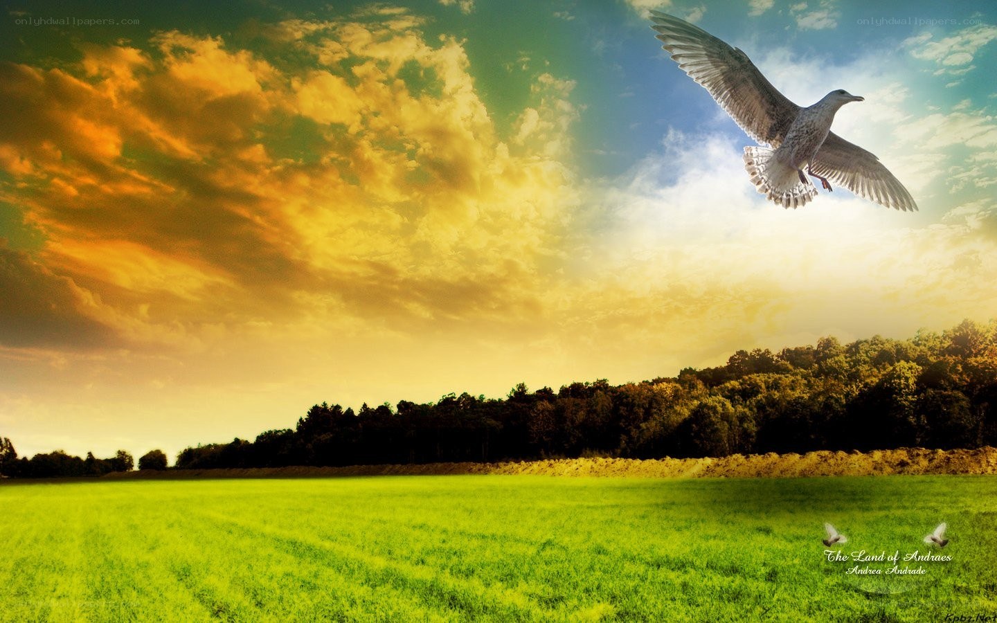 Seagull flying over green field