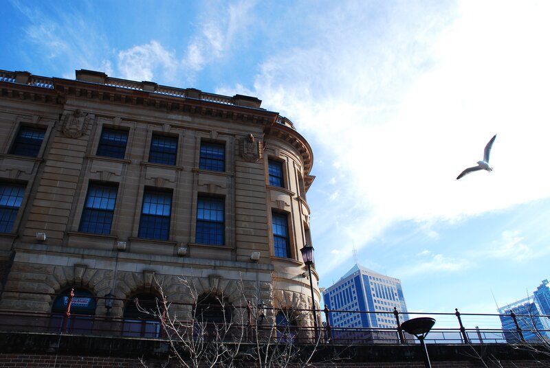Seagull flying over historic building