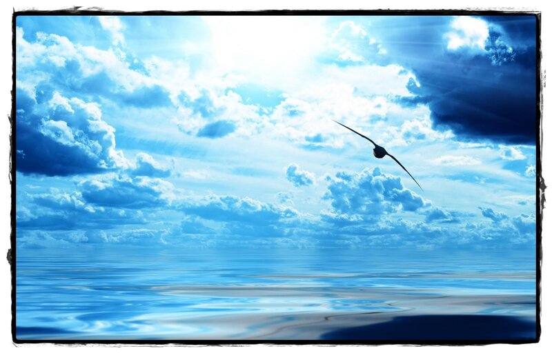Seagull Flying over Ocean — Blue, Serene, Afternoon