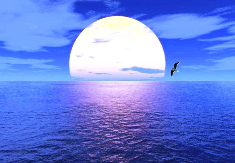 Seagull Flying over Ocean — Blue, Serene, Sunset, Digital Art, Sun, Clouds