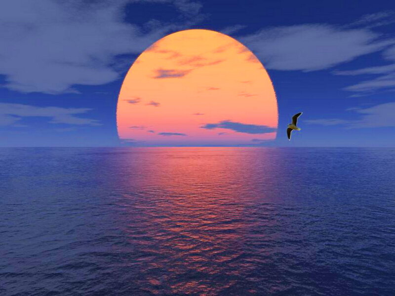 Seagull Flying over Ocean — Blue, Serene, Sunset, Digital Art, Sun