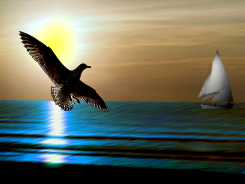 Seagull Flying over Ocean — Blue, Serene, Sunset, Digital Art