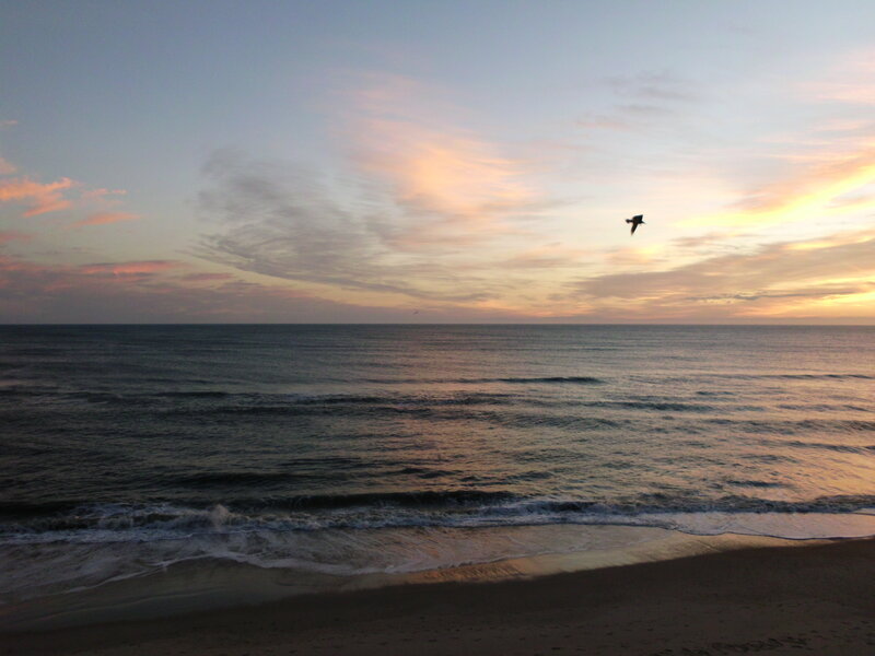 Seagull Flying over Ocean — Blue, Serene, Sunset, Photograph
