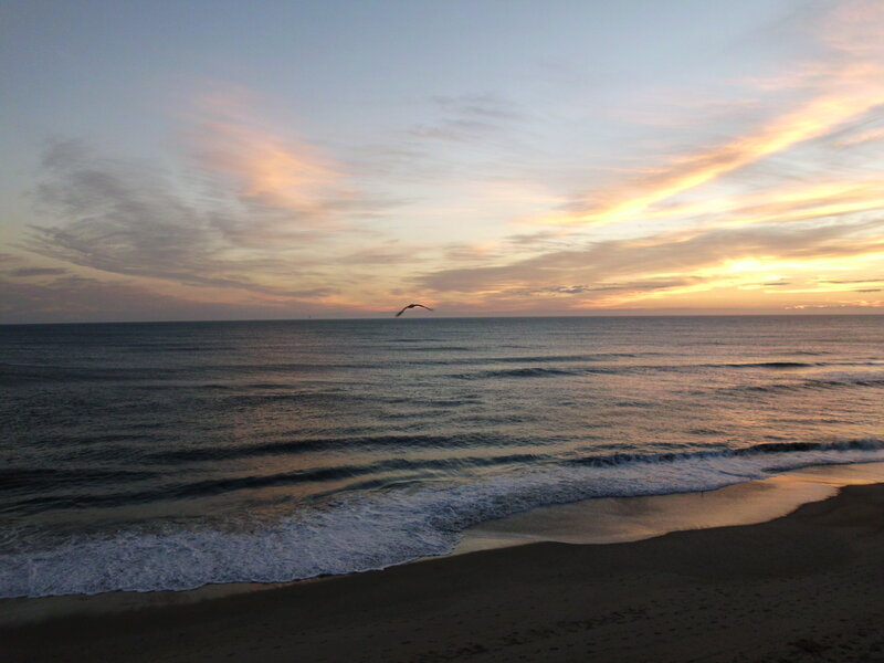 Seagull Flying over Ocean — Blue, Serene, Sunset