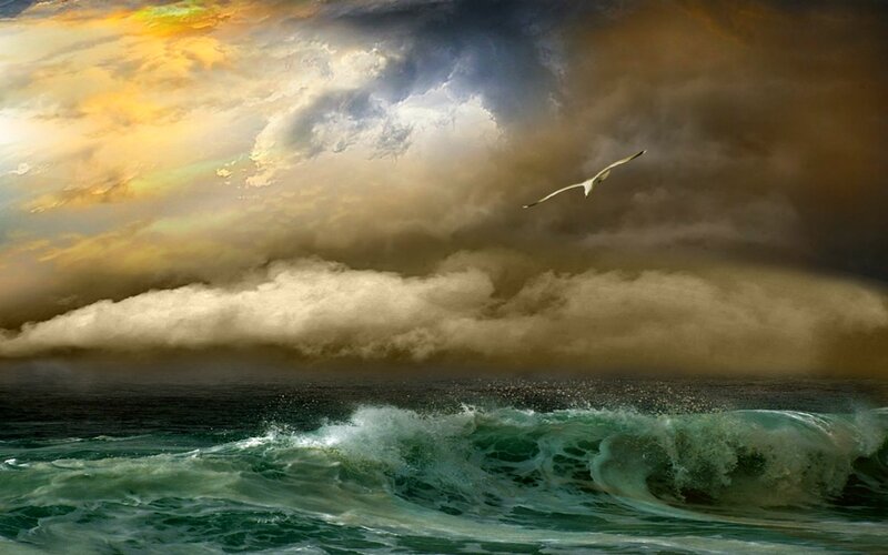 Seagull Flying over Ocean — Green