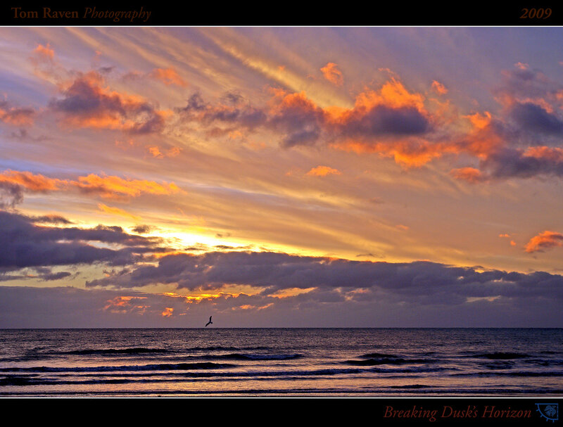 Seagull Flying over Ocean — Orange, Dramatic, Sunset, Photograph, Clouds, Sunlight