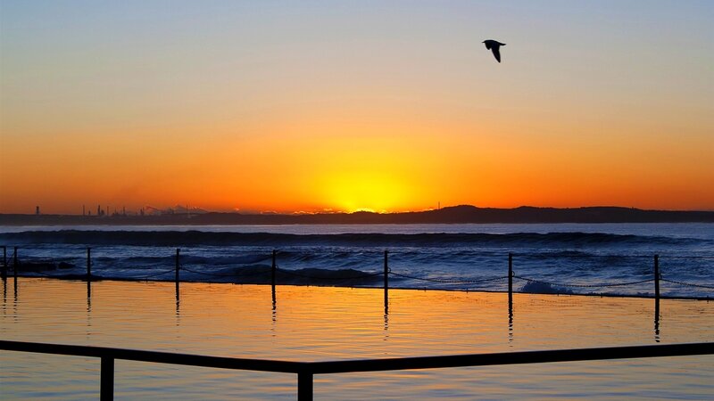 Seagull Flying over Ocean — Orange, Serene, Sunset, Photograph, Sunrise