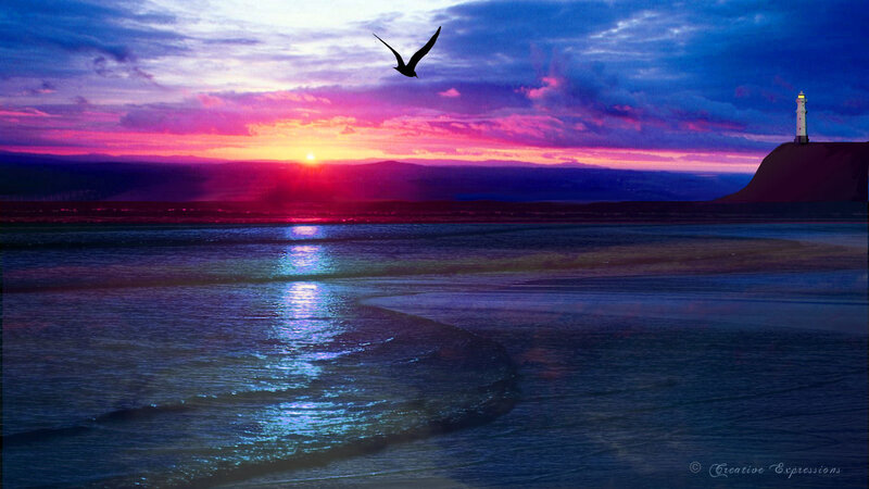 Seagull Flying over Ocean — Purple