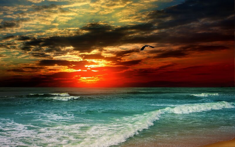 Seagull Flying over Ocean — Red, Dramatic, Sunset, Photograph, Sun, Clouds, Waves, Orange