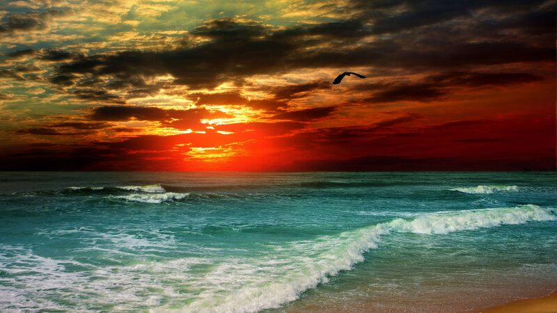 Seagull Flying over Ocean — Red, Dramatic, Sunset