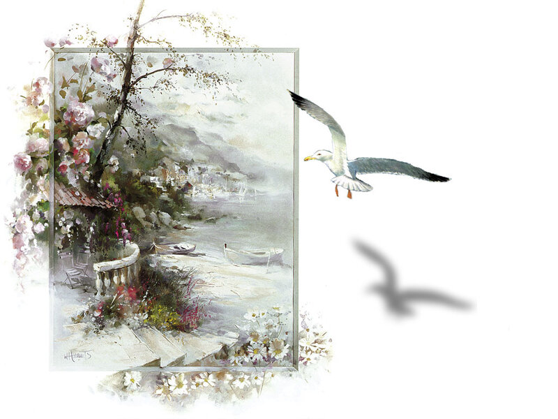 Seagull Flying over Painting