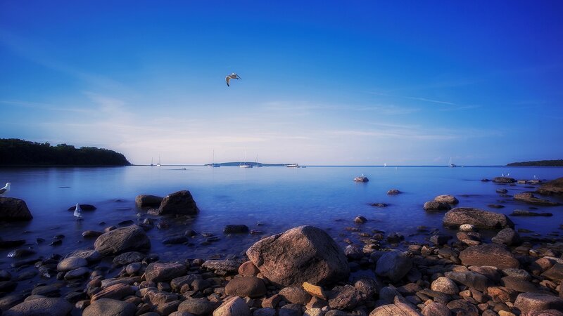 Seagull Flying over Rocks — Blue, Serene, Afternoon