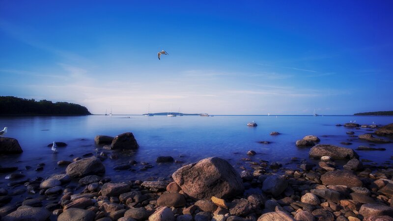 Seagull Flying over Rocks — Blue, Serene, Morning, Photograph, Birds