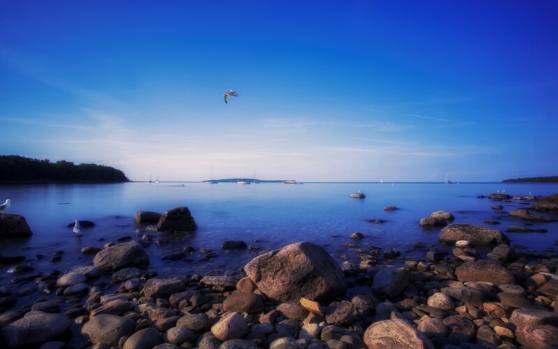 Seagull Flying over Rocks — Blue, Serene, Morning, Photograph, Boats