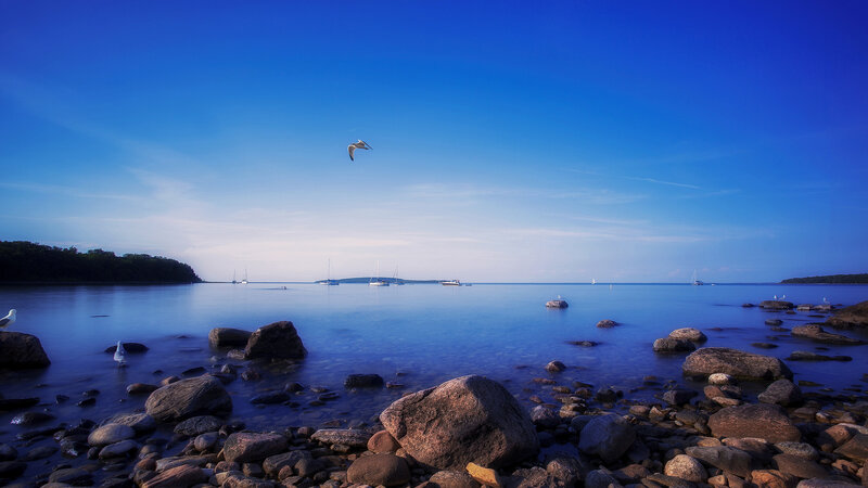 Seagull Flying over Rocks — Blue, Serene, Morning