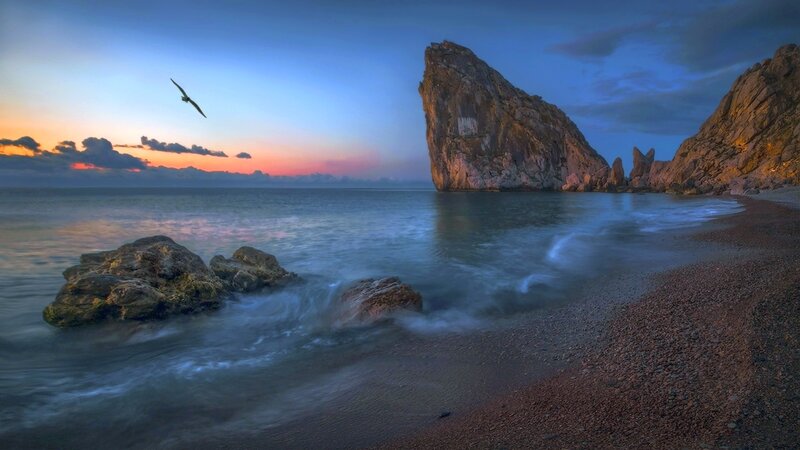 Seagull Flying over Rocks — Blue, Serene